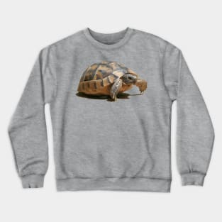 Portrait of a Young Wild Tortoise Isolated Crewneck Sweatshirt